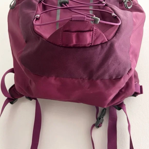 Osprey Axis Backpack in Deep Plum - Picture 5 of 14